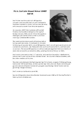 A preview of a PDF biography for Palmer, Cecil John Edward